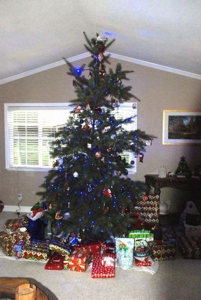 00 Tree.jpg