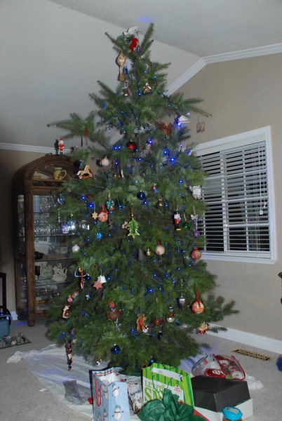 69 Tree.JPG