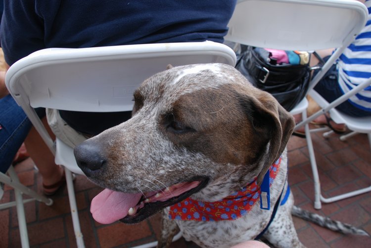 2011 Independence Day (34) Sparky.JPG