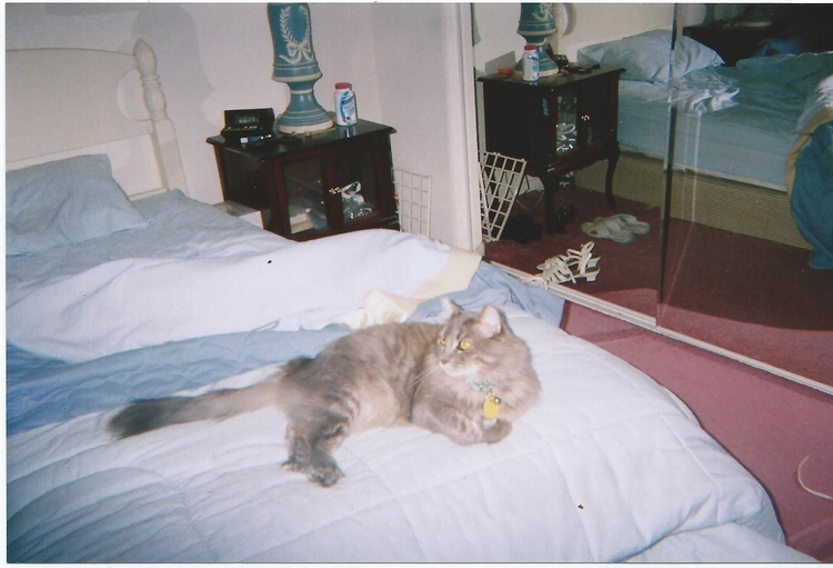 2007 Lucy in Morgan Hill.jpg