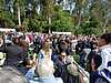 2017-05-06_14_MZs_Grad.jpg