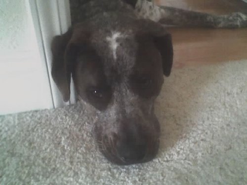 05-10-30 Big Head Sparky.jpg