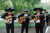 2009_10_24 Amy & Ray's Wedding_58 - Mariachis.JPG