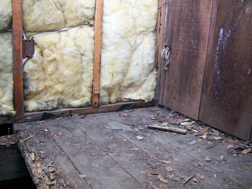 100_0482.JPG
