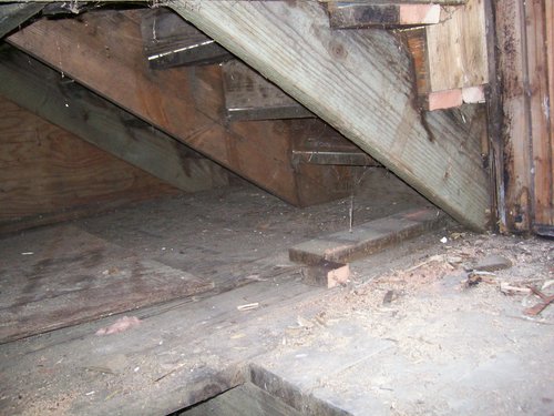 100_0484.JPG