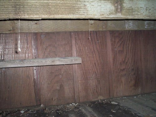 102_4903.JPG