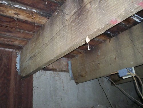 102_4905.JPG
