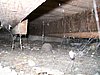 100_0494.JPG