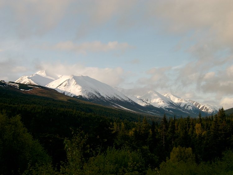 2Kenai004.JPG
