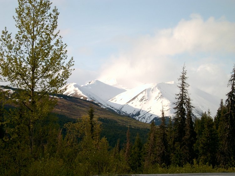 2Kenai007.JPG
