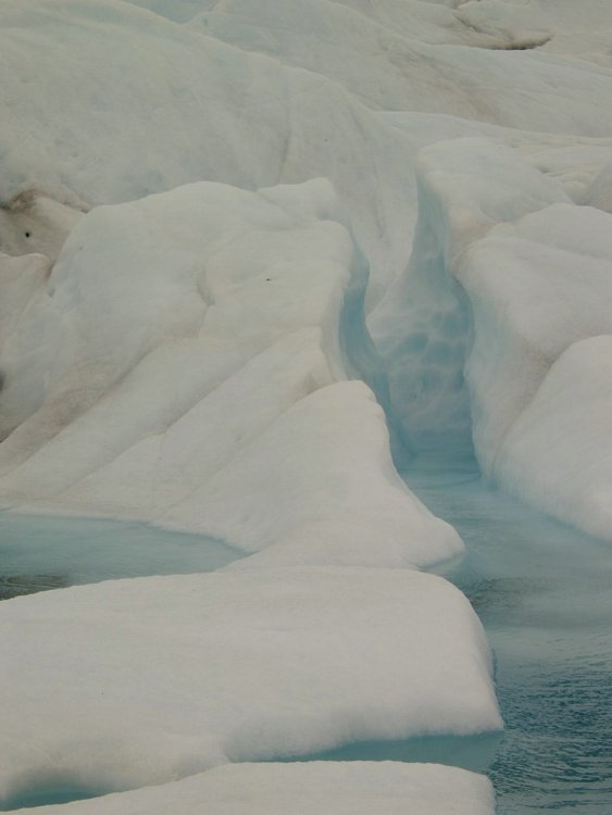 Juneau_024-R.JPG
