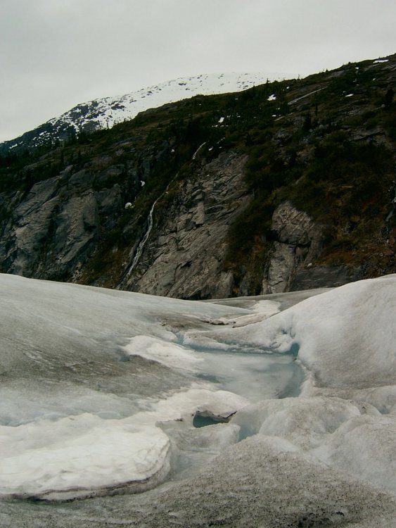 Juneau_067-R.JPG