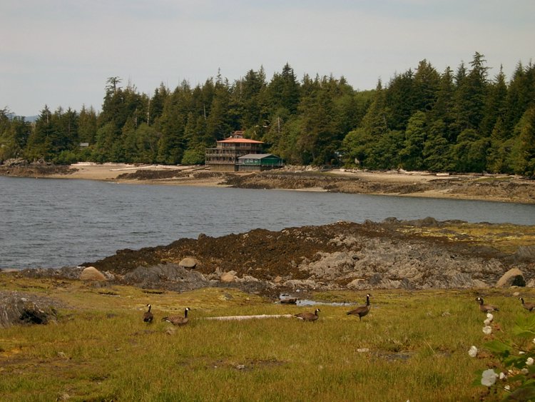 Ketchikan012.JPG