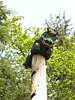 Ketchikan016.JPG