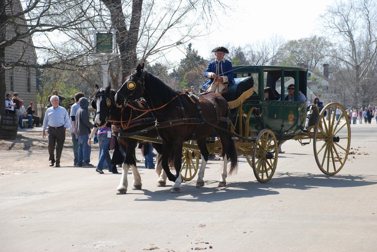 336 Williamsburg - Carriage.jpg