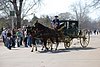 335 Williamsburg - Carriage.jpg