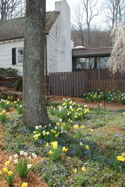 421 Monticello - Michie's Tavern.jpg