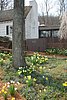 421 Monticello - Michie's Tavern.jpg