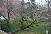 460 Arlington Cemetery.jpg