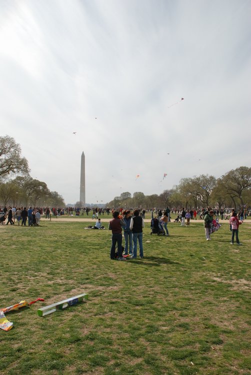 602 DC - Kites on the Mall.jpg