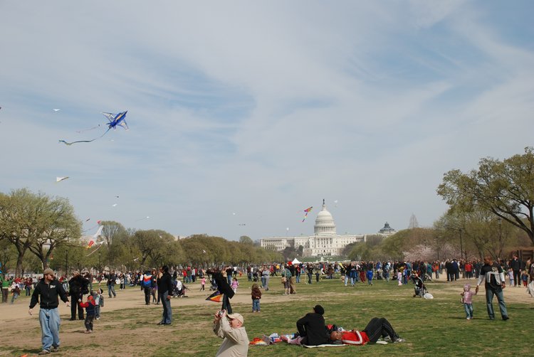 603 DC - Kites on the Mall.jpg