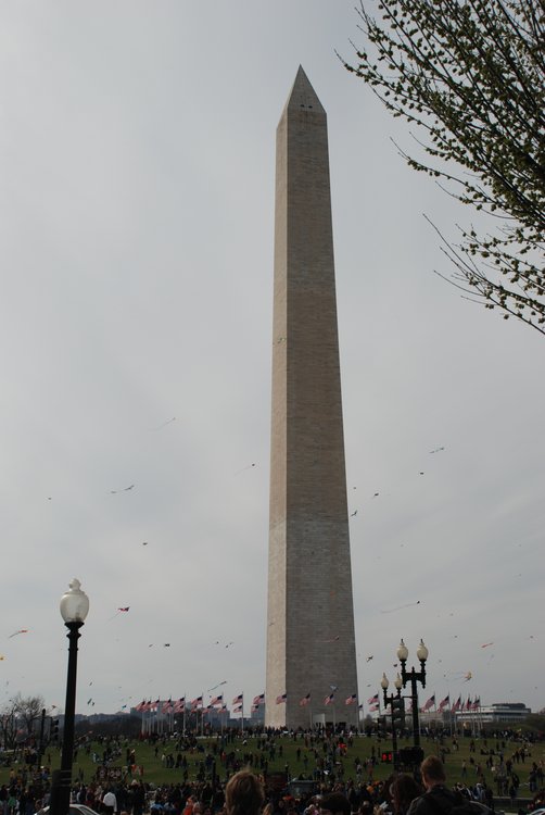 604 DC - Kites on the Mall.jpg