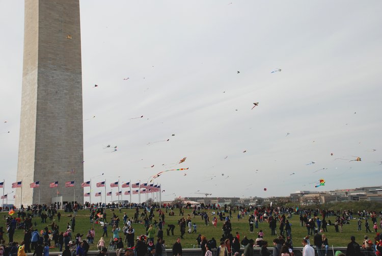 605 DC - Kites on the Mall.jpg