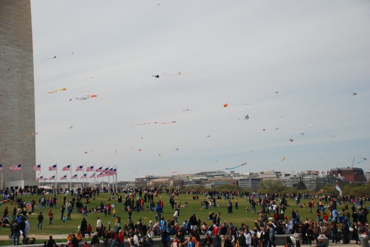 607 DC - Kites on the Mall.jpg