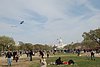 603 DC - Kites on the Mall.jpg