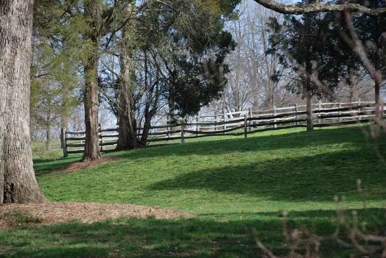 599 Mt Vernon - Pasture.jpg
