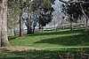 599 Mt Vernon - Pasture.jpg