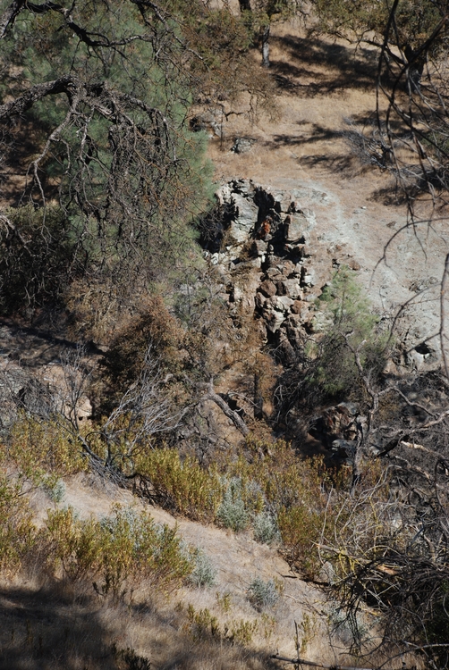 08) Rock & Tree.JPG