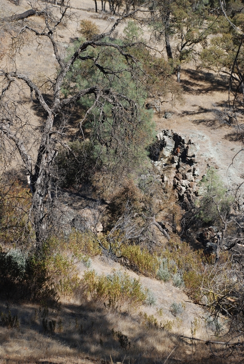 09) Rock & Tree alt.JPG