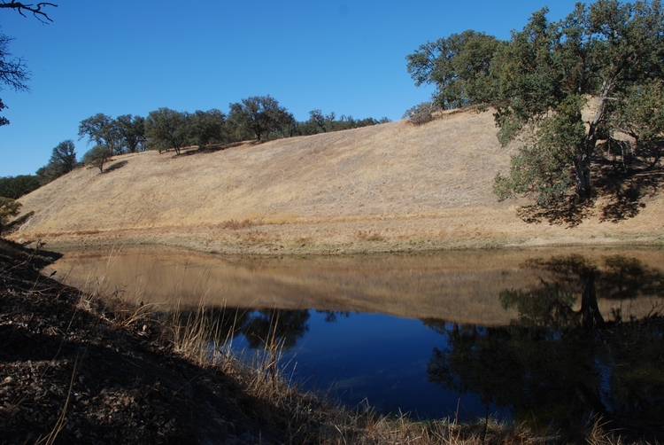 10) Pond.JPG