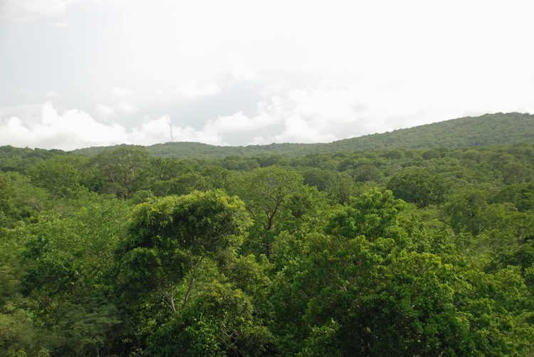 10A10e Inland View.jpg