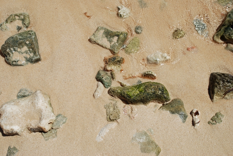18A43e  Rio Bueno Beach.jpg