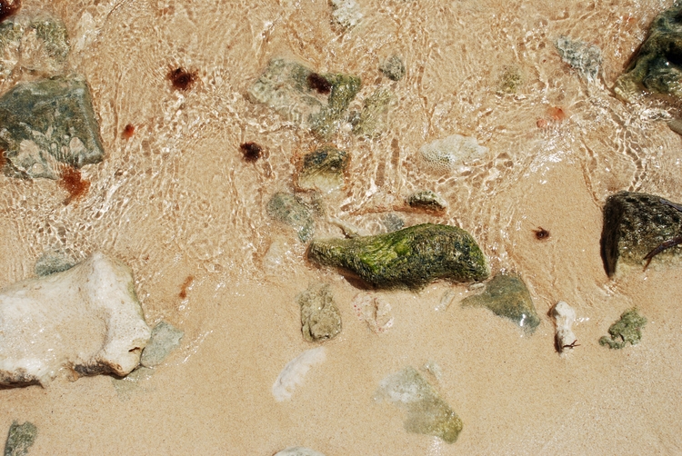 19A45e Rio Bueno Beach.jpg