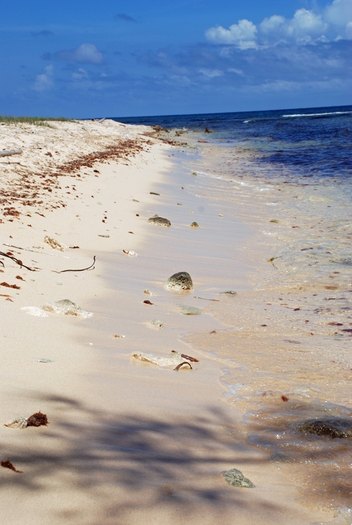 20A48e Rio Bueno Beach.jpg