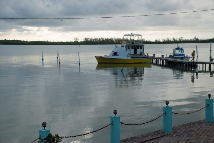 43A89ec Luminous Lagoon.jpg