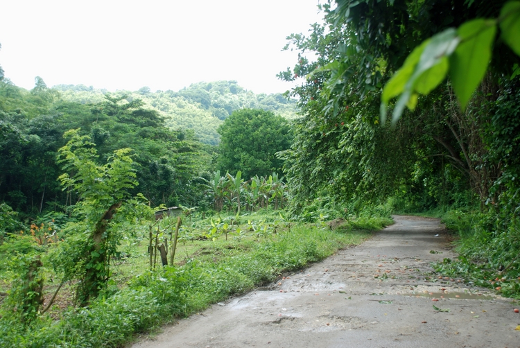 47B28e Road to Cascasdes.jpg