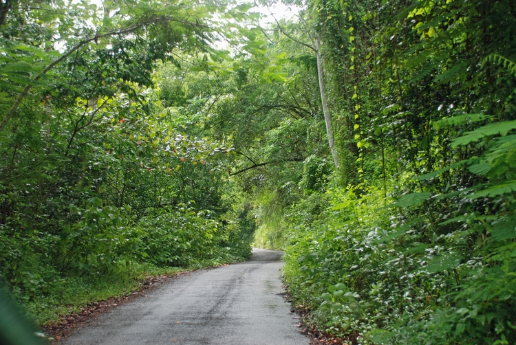 48B29e Road to Cascasdes.jpg