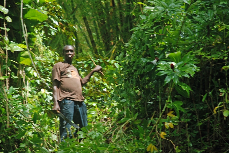 51B34e Clearing Ancestor's Graves.jpg