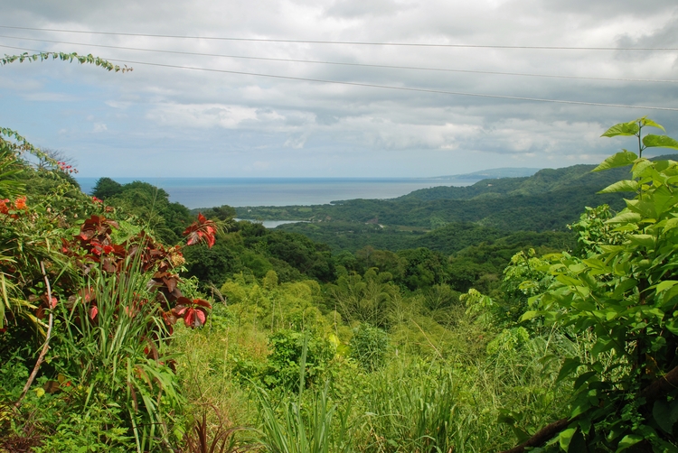 53B38ec MoBay from Claremont.jpg