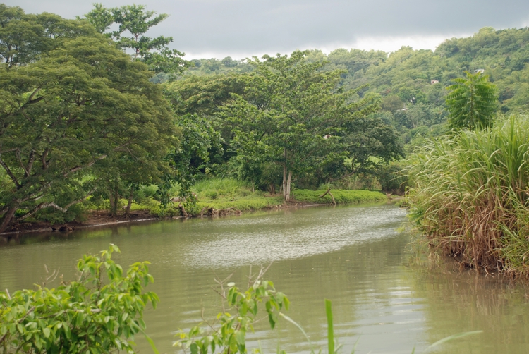 55B40ec Road to Lucea.jpg