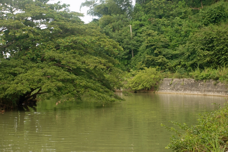 56B41e Road to Lucea.jpg