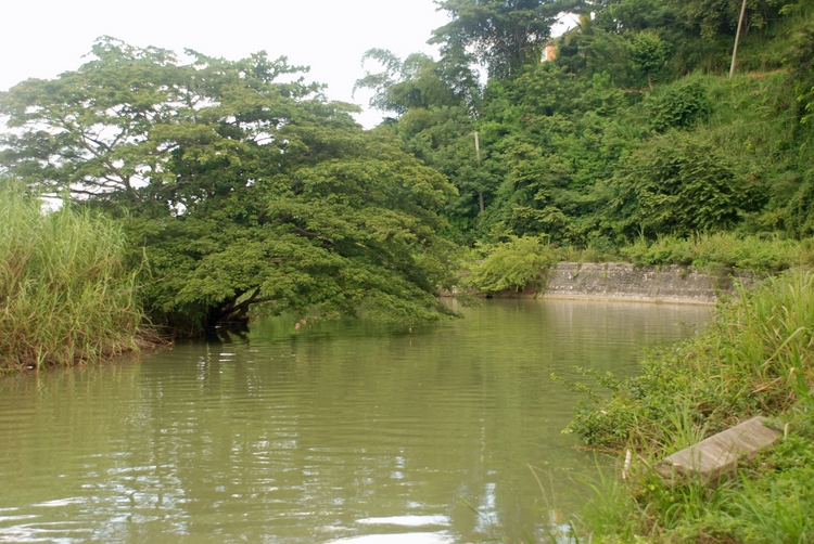 57B42e Road to Lucea.jpg