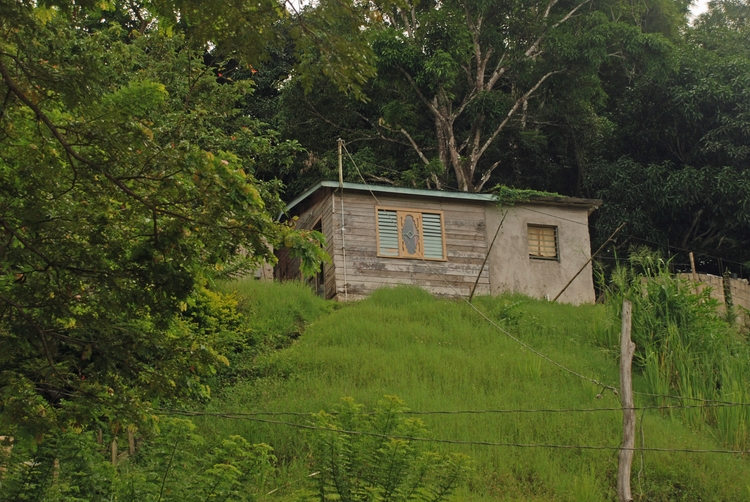 58B43ec Road to Lucea.jpg
