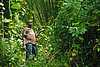 51B34e Clearing Ancestor's Graves.jpg