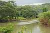 55B40ec Road to Lucea.jpg
