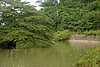 56B41e Road to Lucea.jpg